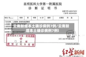 云南新增本土确诊病例7例/云南新增本土确诊病例7例l