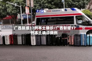 广西新增37例本土确诊/广西新增37例本土确诊病例