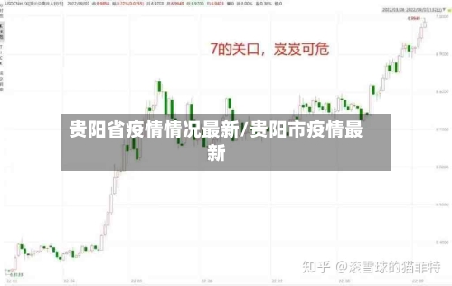 贵阳省疫情情况最新/贵阳市疫情最新-第2张图片