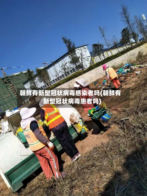 朝鲜有新型冠状病毒感染者吗(朝鲜有新型冠状病毒患者吗)-第1张图片