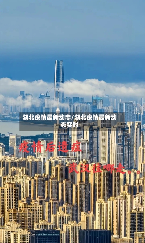 湖北疫情最新动态/湖北疫情最新动态实时-第2张图片