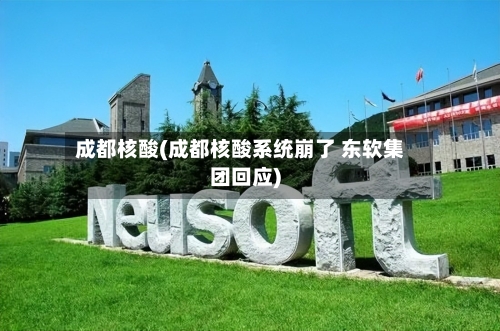 成都核酸(成都核酸系统崩了 东软集团回应)-第1张图片