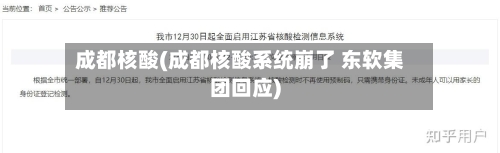 成都核酸(成都核酸系统崩了 东软集团回应)-第3张图片