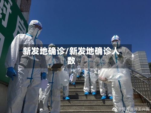 新发地确诊/新发地确诊人数-第1张图片