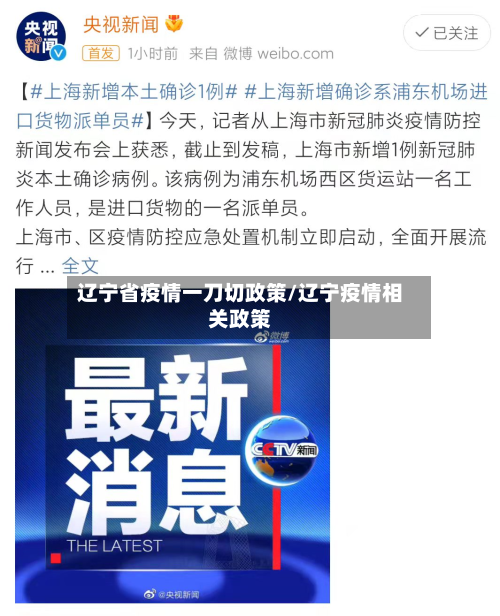 辽宁省疫情一刀切政策/辽宁疫情相关政策-第1张图片