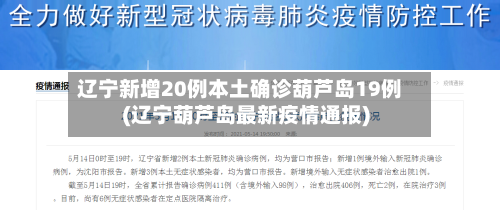 辽宁新增20例本土确诊葫芦岛19例(辽宁葫芦岛最新疫情通报)-第2张图片